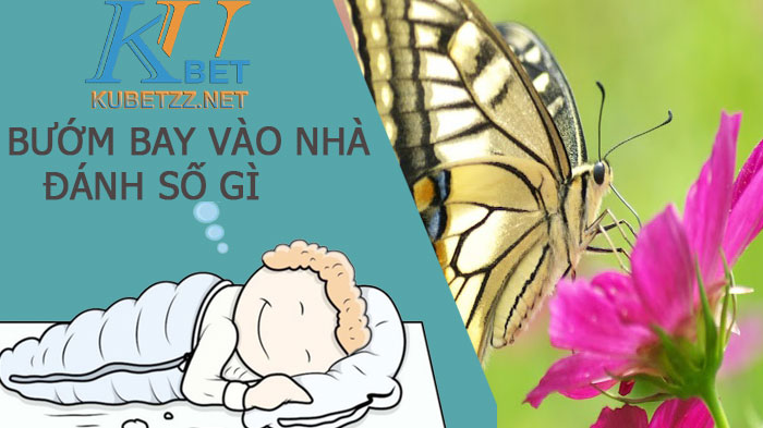 Bướm bay vào nhà đánh số gì - giải mã giấc mơ bướm vào nhà