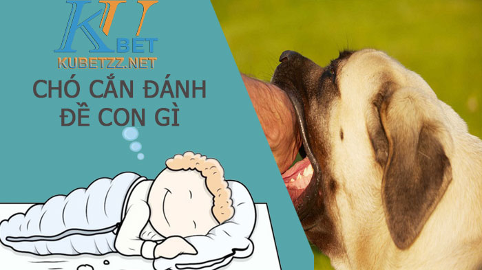 Ngủ mơ chó cắn đánh đề con gì giải xui, thêm may mắn ?