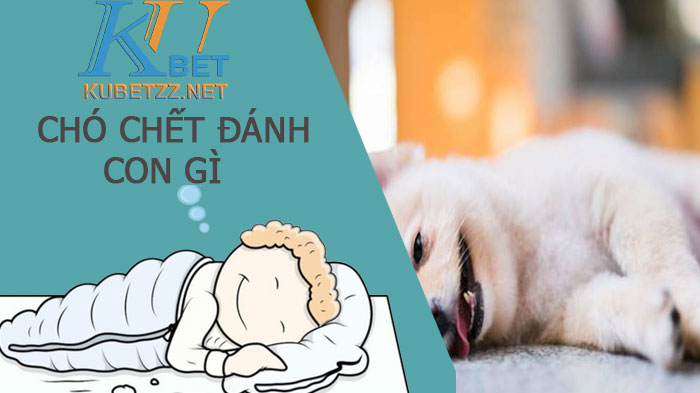 Nằm mơ thấy chó chết điềm báo lành hay dữ và đánh con gì?