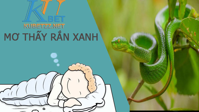 Mơ thấy rắn xanh nên đánh số gì để trúng lớn?