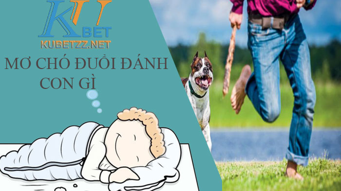 Mơ chó đuổi đánh con gì cho những ai chưa biết