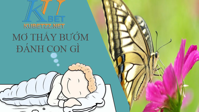 Mơ thấy bướm đánh con gì ? Giải mã giấc mơ thấy con bướm 