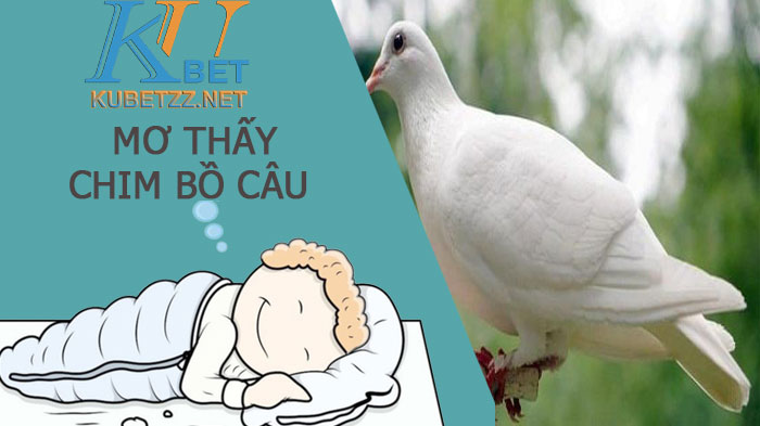 Mơ thấy chim bồ câu báo hiệu điều gì sắp xảy ra ?