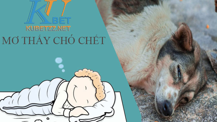 Giải đáp mơ chó chết đánh con gì để đem lại may mắn 