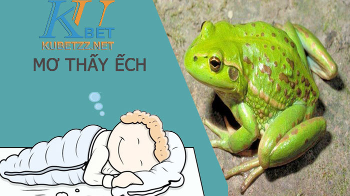 Nằm mơ thấy ếch đánh con gì - Giải mã chiêm bao mơ thấy ếch