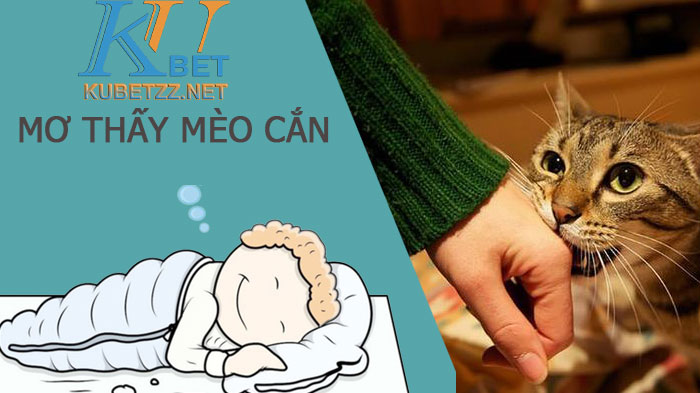 Mơ thấy mèo cắn thì đánh con số nào sẽ thật may mắn trúng lớn