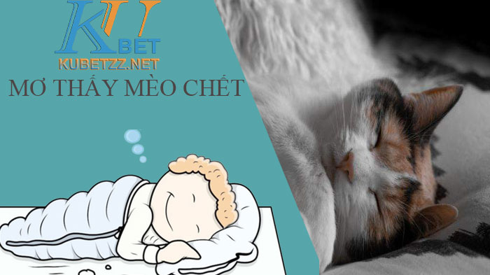 Điềm báo từ giấc mơ thấy mèo chết - Con số may mắn