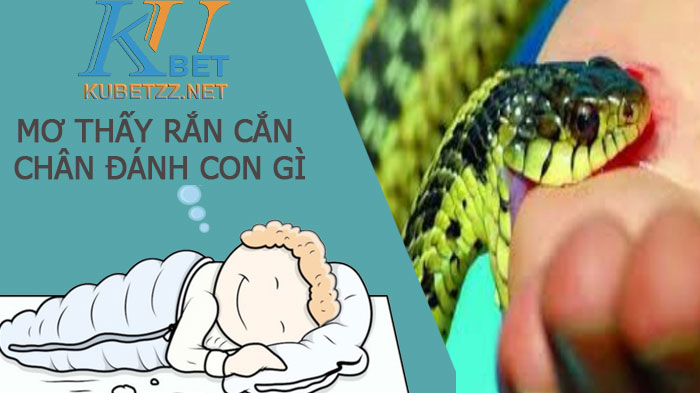 Mơ thấy rắn cắn chân đánh con gì - Điềm gì cho bạn?