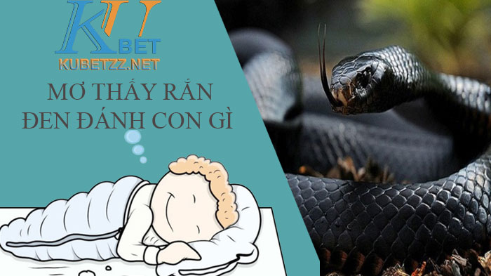 Mơ thấy rắn đen đánh con gì để dễ dàng thắng lớn