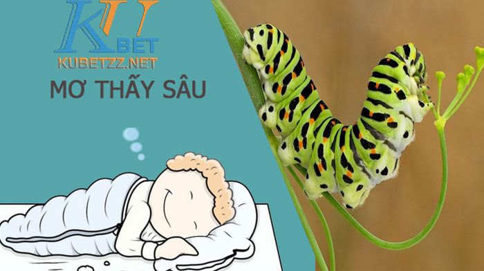 Mơ thấy sâu đánh gì để trúng lớn? Giải mã giấc mơ thấy sâu