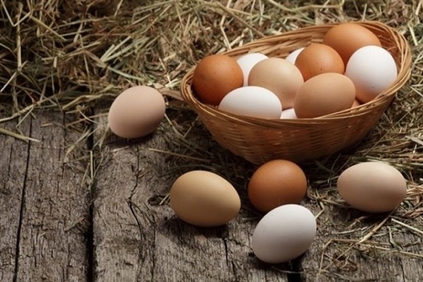 Điềm báo khi mơ nhặt được trứng gà là gì?