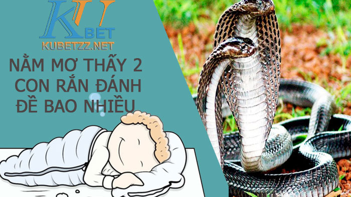 Nằm mơ thấy 2 con rắn đánh đề bao nhiêu để trúng lớn