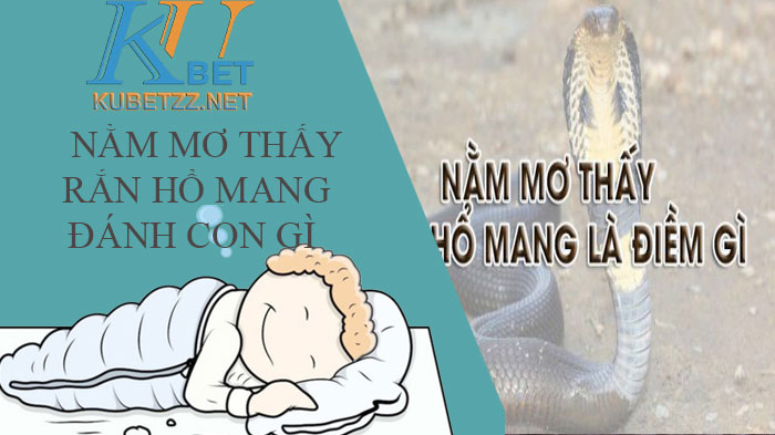 Nằm mơ thấy rắn hổ mang đánh con gì? Điềm báo của giấc mơ