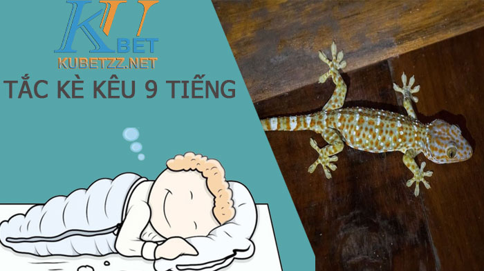 Rắc kè kêu 9 tiếng là gì điềm gì? Đánh con gì để trúng lớn